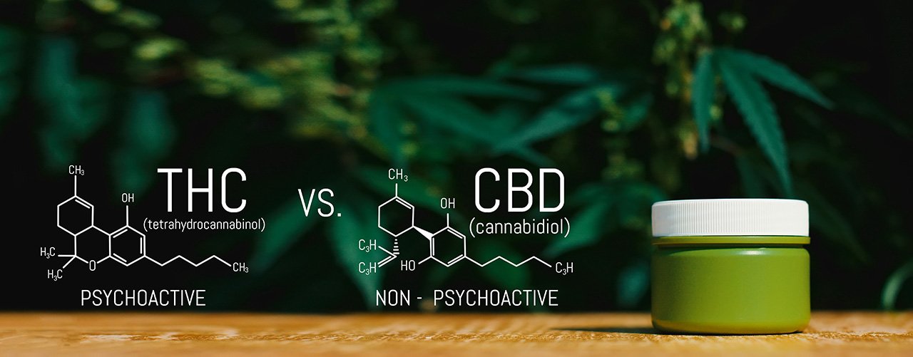 CBD vs Hemp: What's the difference? - Daily Dose of CBD